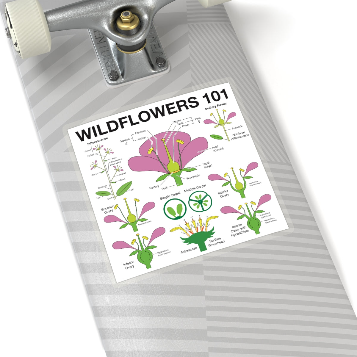 Wildflowers 101: Flowers Sticker