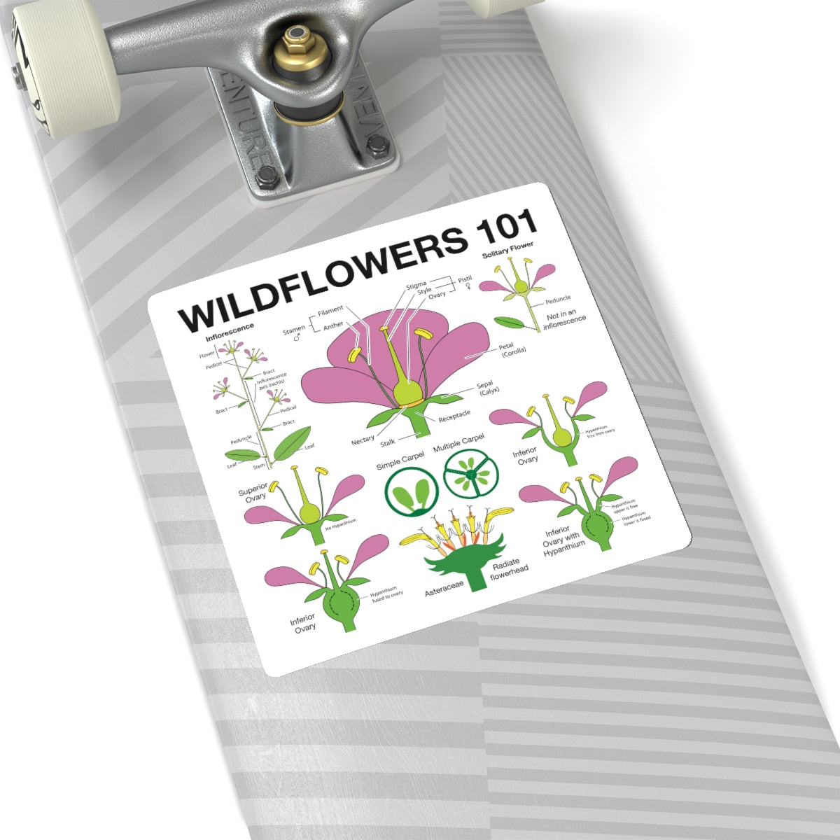 Wildflowers 101: Flowers Sticker