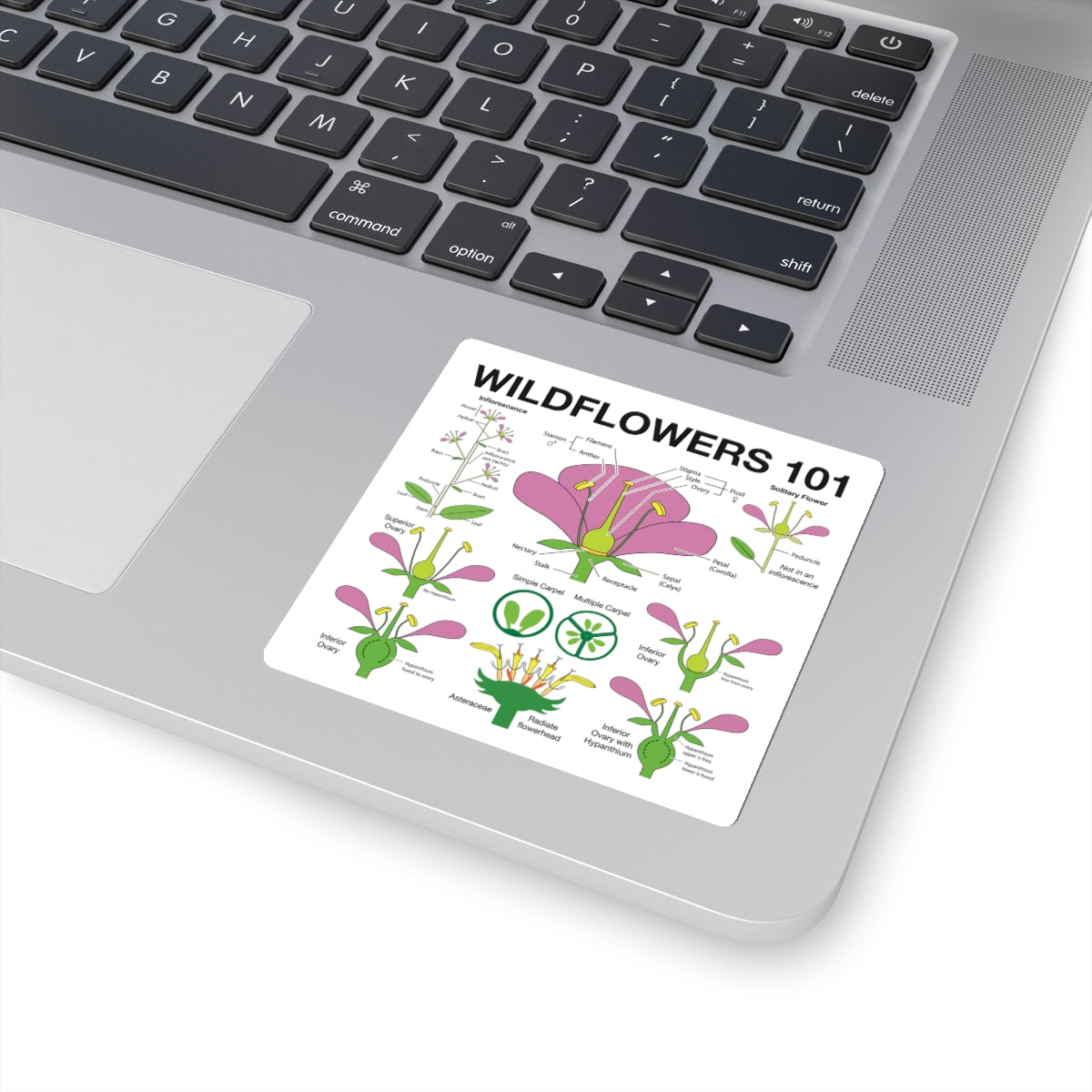 Wildflowers 101: Flowers Sticker