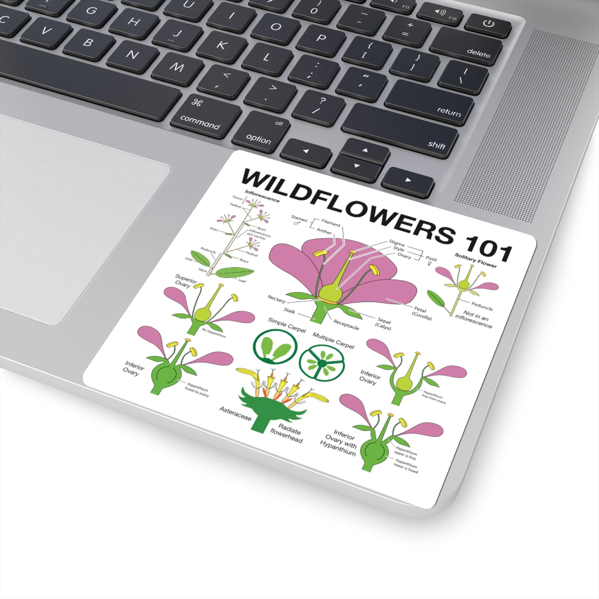 Wildflowers 101: Flowers Sticker