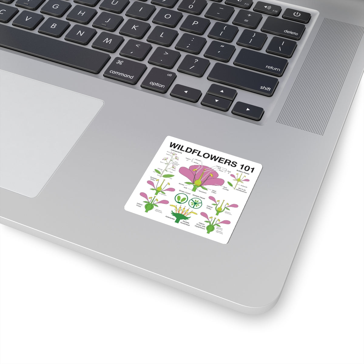 Wildflowers 101: Flowers Sticker