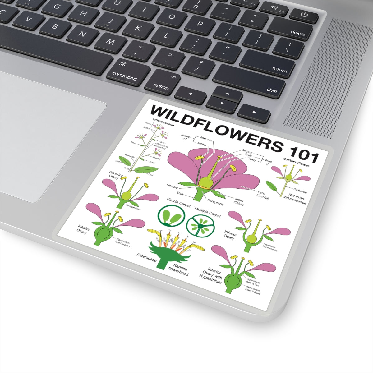 Wildflowers 101: Flowers Sticker